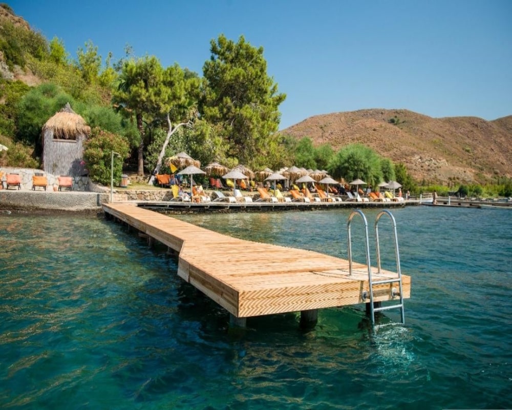 dalaman bördübet transfer