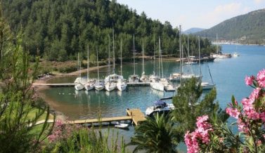 dalaman orhaniye transfer